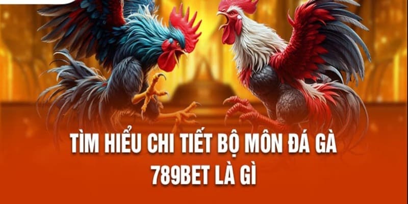 Tổng quan giới thiệu về sân chơi chọi kê 789BET