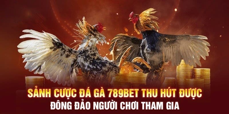 Những ưu điểm lớn giúp tạo nên sức hút của sảnh chọi kê 789BET